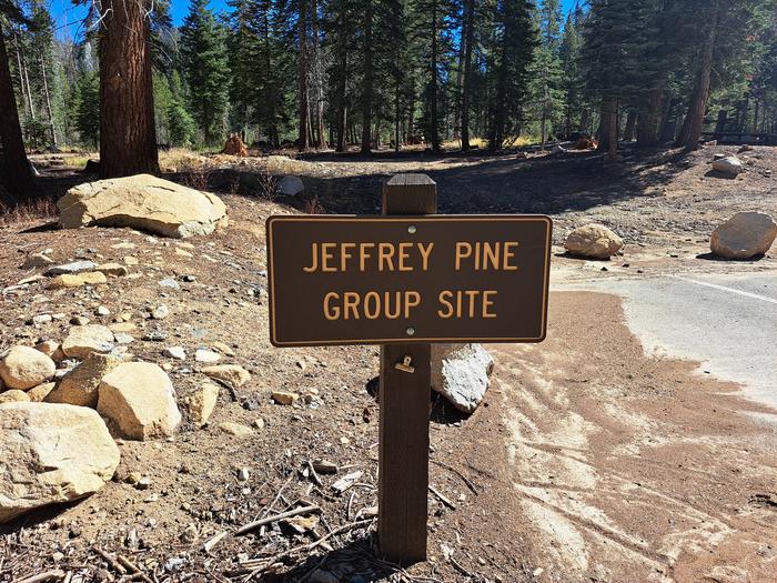 Jeffery Pine Group SiteGroup site