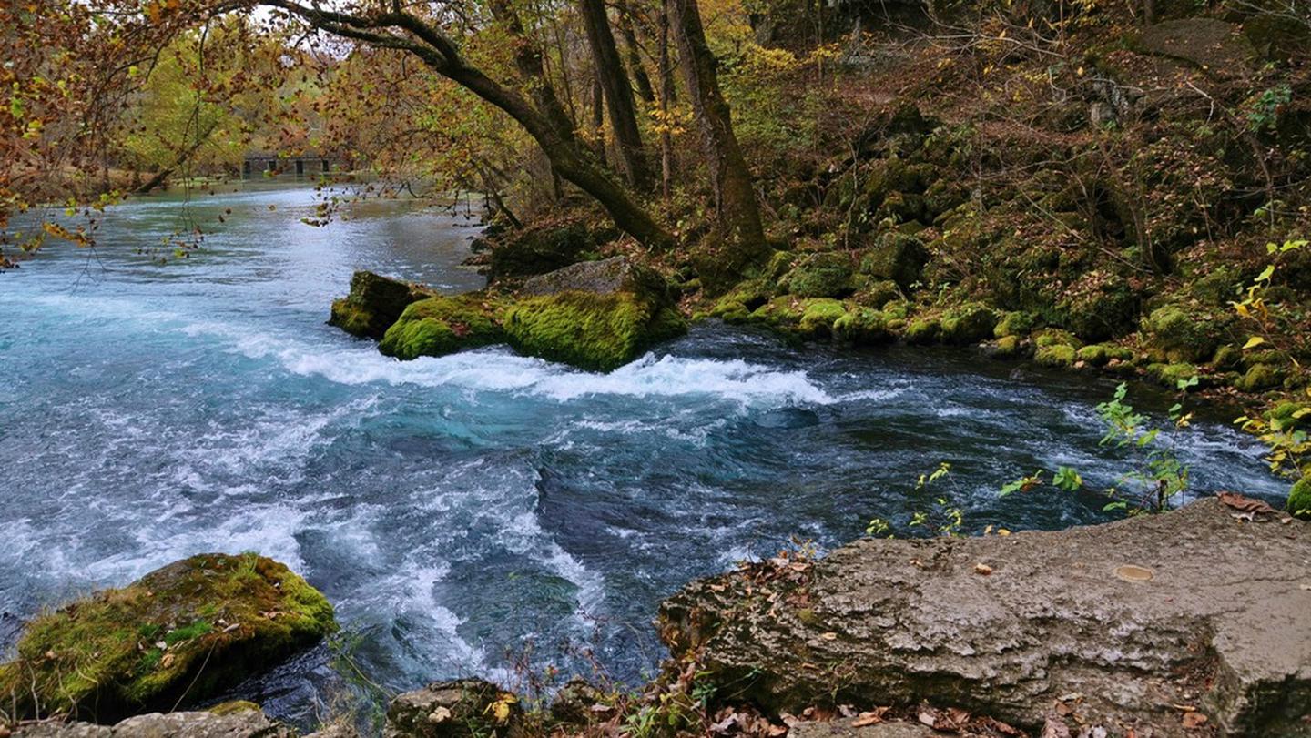 Big Spring flows along it's tree and moss-lined banks