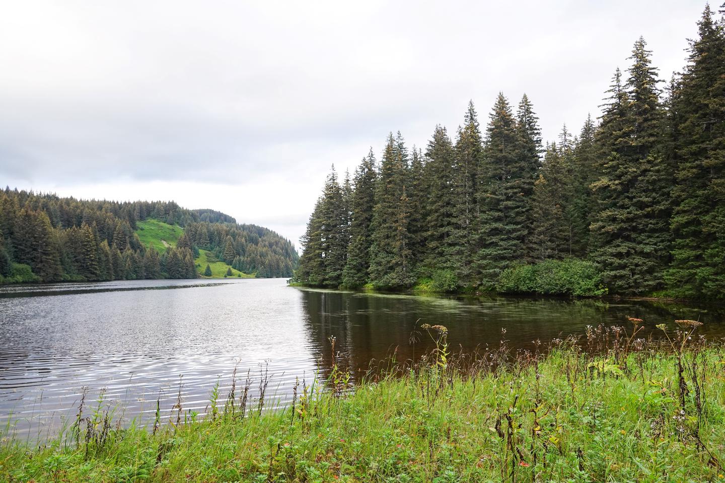 a lake with treesThe view from Little Waterfall Lake cabin 