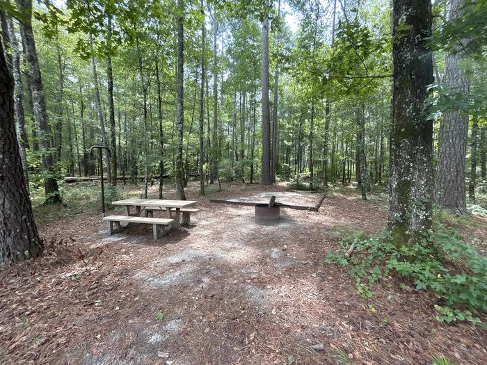 A photo of Site IS02 of Loop Longleaf at Longleaf Campground with Picnic Table, Fire Pit, Shade, Tent Pad, Lantern Pole