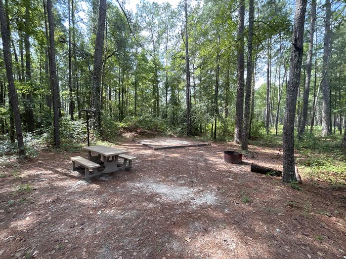 A photo of Site IS01 of Loop Longleaf at Longleaf Campground with Picnic Table, Fire Pit, Shade, Tent Pad, Lantern Pole