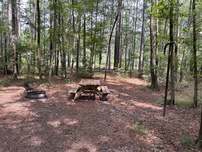 A photo of Site IS04 of Loop Longleaf at Longleaf Campground with Picnic Table, Fire Pit, Shade, Lantern Pole