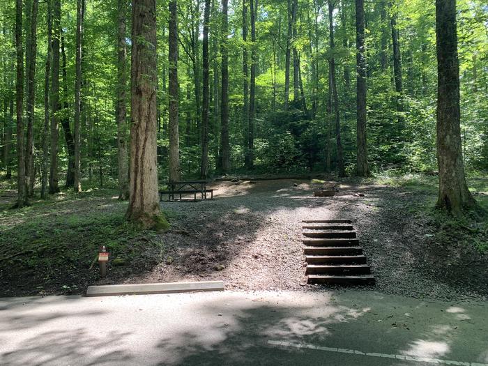 A photo of Site B56 of Loop B-Loop at COSBY CAMPGROUND with Picnic Table, Fire Pit, Tent Pad