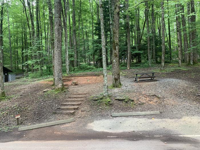 A photo of Site B29 of Loop B-Loop at COSBY CAMPGROUND with Picnic Table, Fire Pit, Tent Pad