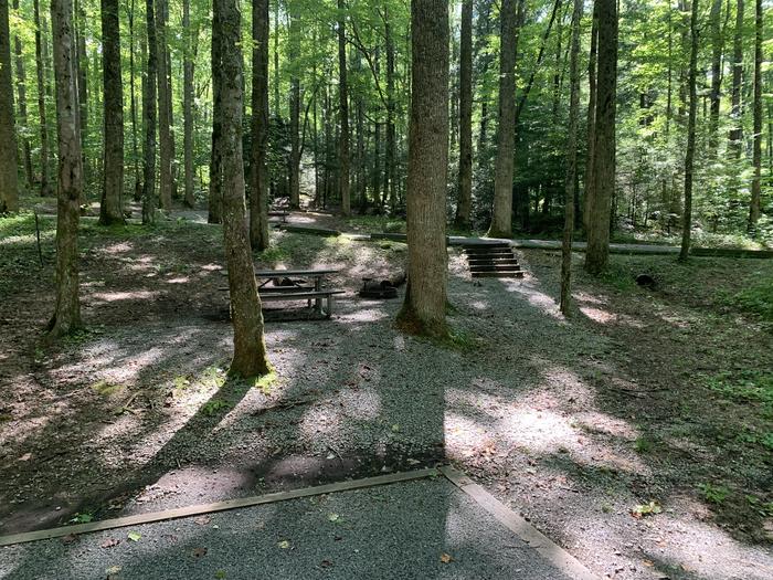 A photo of Site B50 of Loop B-Loop at COSBY CAMPGROUND with Picnic Table, Fire Pit, Tent Pad