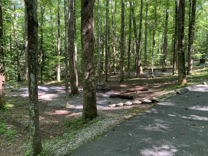 A photo of Site B50 of Loop B-Loop at COSBY CAMPGROUND with Picnic Table, Fire Pit, Tent Pad
