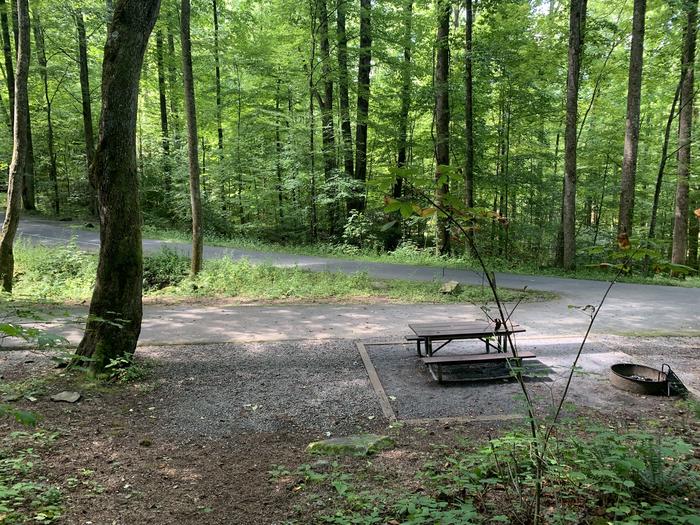 A photo of Site B88 of Loop B-Loop at COSBY CAMPGROUND with Picnic Table, Fire Pit