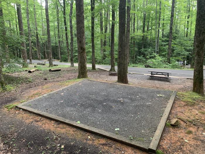 A photo of Site B24 of Loop B-Loop at COSBY CAMPGROUND with Picnic Table, Fire Pit, Tent Pad