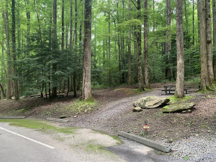 A photo of Site B41 of Loop B-Loop at COSBY CAMPGROUND with Picnic Table, Fire Pit, Tent Pad