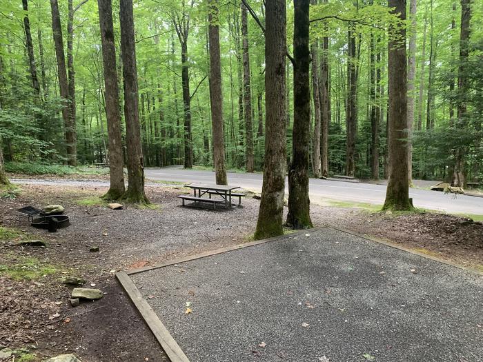 A photo of Site B41 of Loop B-Loop at COSBY CAMPGROUND with Picnic Table, Fire Pit, Tent Pad