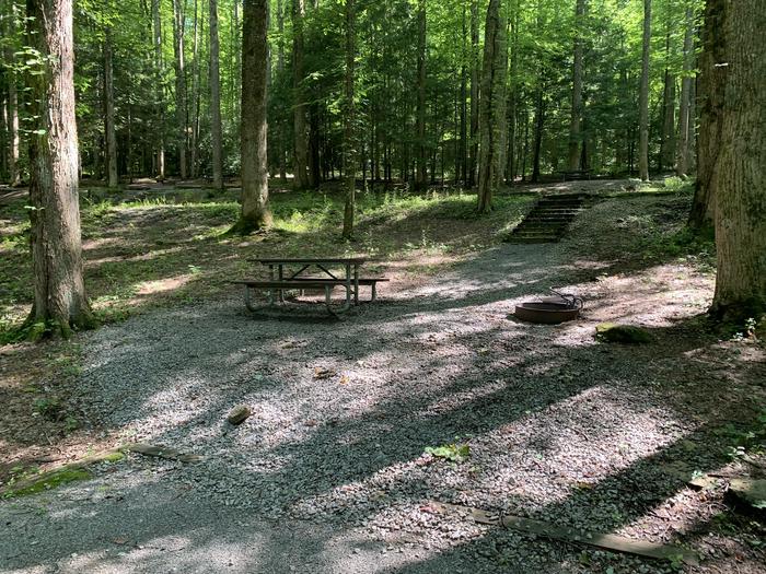 A photo of Site B64 of Loop B-Loop at COSBY CAMPGROUND with Picnic Table, Fire Pit, Tent Pad