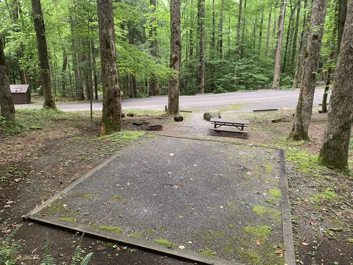 A photo of Site B34 of Loop B-Loop at COSBY CAMPGROUND with Picnic Table, Fire Pit, Tent Pad