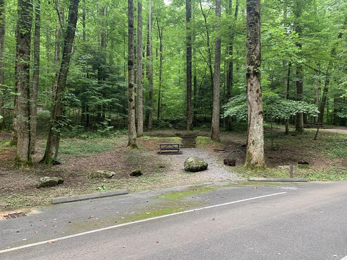 A photo of Site B34 of Loop B-Loop at COSBY CAMPGROUND with Picnic Table, Fire Pit, Tent Pad