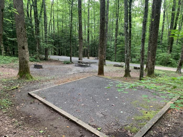 A photo of Site B23 of Loop B-Loop at COSBY CAMPGROUND with Picnic Table, Fire Pit, Tent Pad