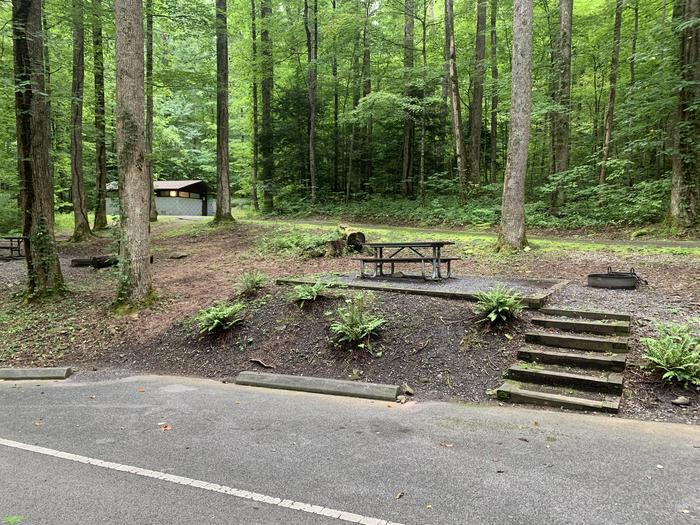 A photo of Site B48 of Loop B-Loop at COSBY CAMPGROUND with Picnic Table, Fire Pit