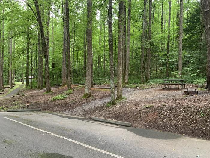 A photo of Site B46 of Loop B-Loop at COSBY CAMPGROUND with Picnic Table, Fire Pit, Tent Pad