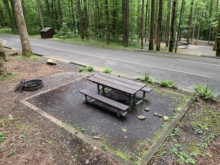 A photo of Site B48 of Loop B-Loop at COSBY CAMPGROUND with Picnic Table, Fire Pit