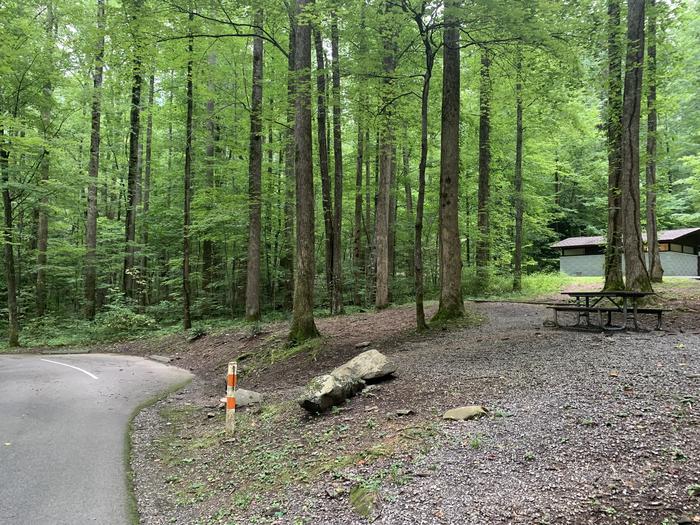 A photo of Site B49 of Loop B-Loop at COSBY CAMPGROUND with Picnic Table, Fire Pit, Tent Pad
