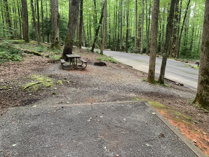A photo of Site B46 of Loop B-Loop at COSBY CAMPGROUND with Picnic Table, Fire Pit, Tent Pad