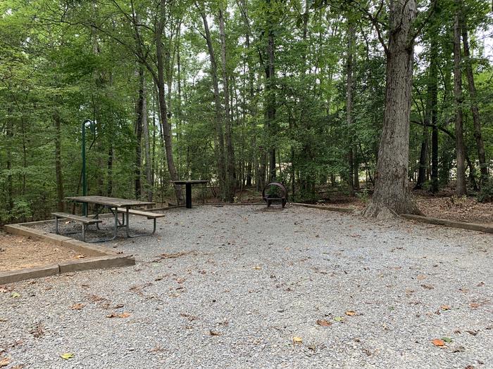 A photo of Site 201 of Loop D at NORTH BEND PARK with Picnic Table, Fire Pit, Shade, Lantern Pole
