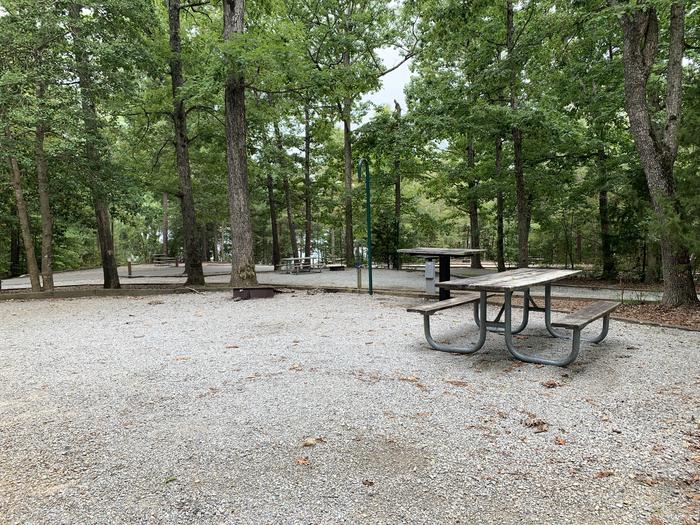 A photo of Site 202 of Loop D at NORTH BEND PARK with Picnic Table, Fire Pit, Lantern Pole