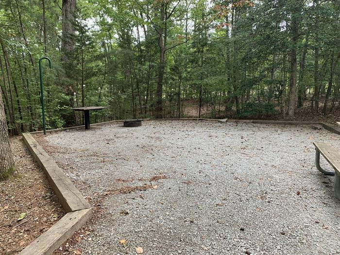 A photo of Site 203 of Loop D at NORTH BEND PARK with Picnic Table, Fire Pit, Lantern Pole