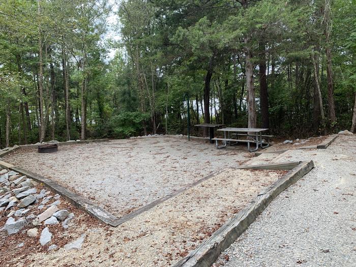 A photo of Site 206 of Loop D at NORTH BEND PARK with Picnic Table, Fire Pit, Tent Pad, Lantern Pole