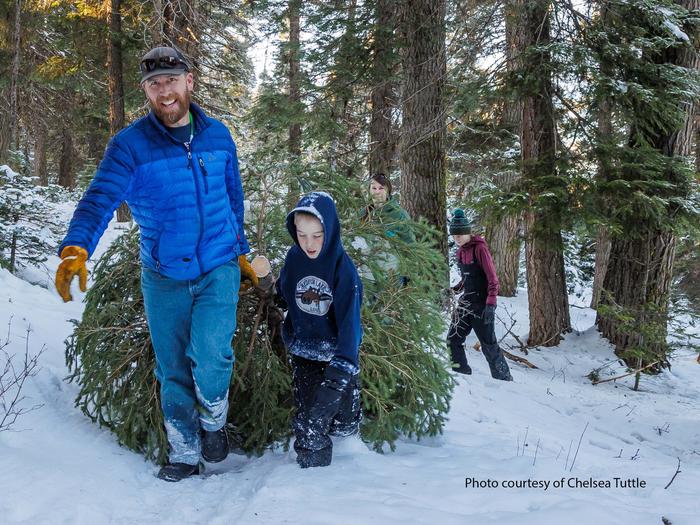 Preview photo of Payette National Forest Christmas Tree Permit