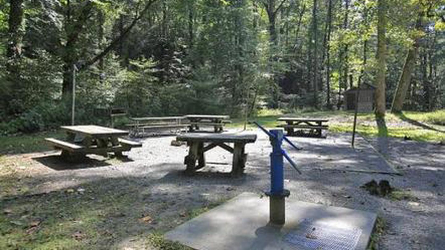Picnic tables at White Pines Group SitePicnic area at White Pines Group Site