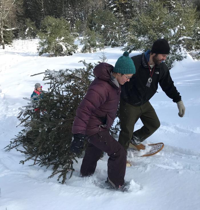 two people walking in show shoes over snow each dragging a balsam fir with one hand. There is a compass around one persons neckA family hauls a Christmas tree through the snow. Harvesting Christmas trees are a fun family tradition. Purchase your permit on Rec.gov before heading into the woods to select your tree. 