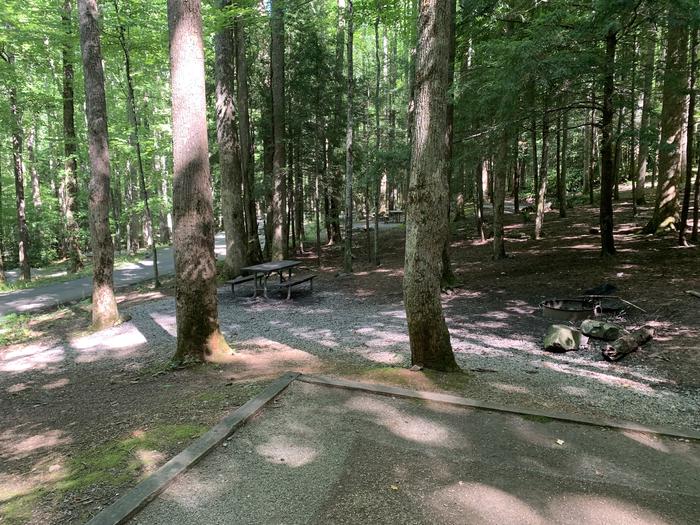 A photo of Site B63 of Loop B-Loop at COSBY CAMPGROUND with Picnic Table, Fire Pit, Tent Pad