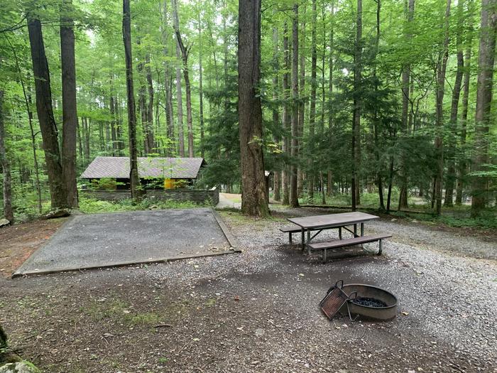 A photo of Site B45 of Loop B-Loop at COSBY CAMPGROUND with Picnic Table, Fire Pit, Tent Pad
