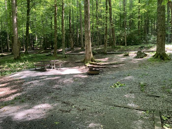 A photo of Site B59 of Loop B-Loop at COSBY CAMPGROUND with Picnic Table, Fire Pit, Tent Pad