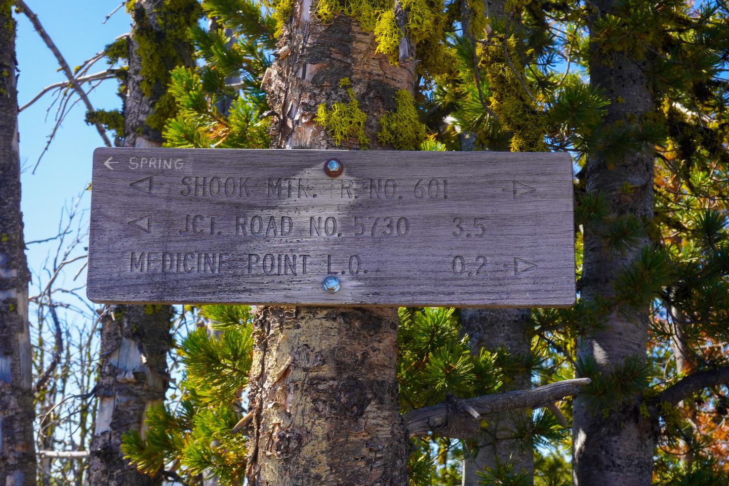 Directional sign to lookoutSign on trail to the lookout