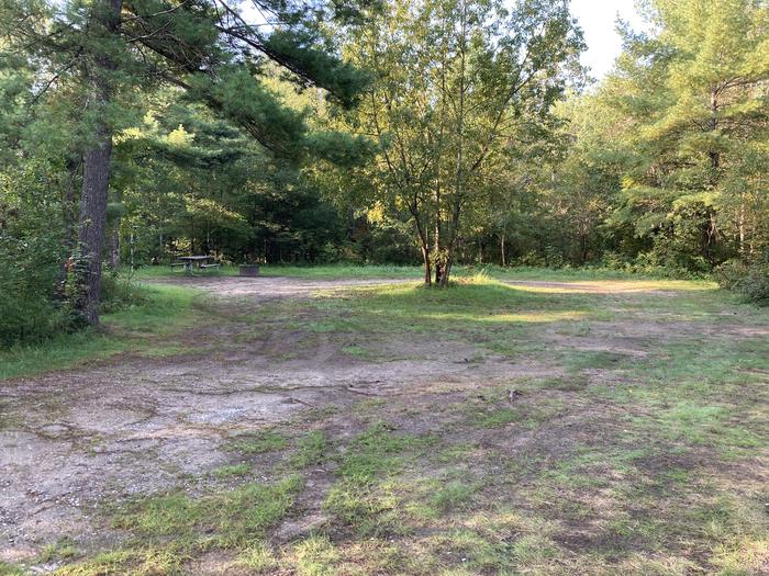 Site 5, Au Sable Loop Campground - Recreation.gov