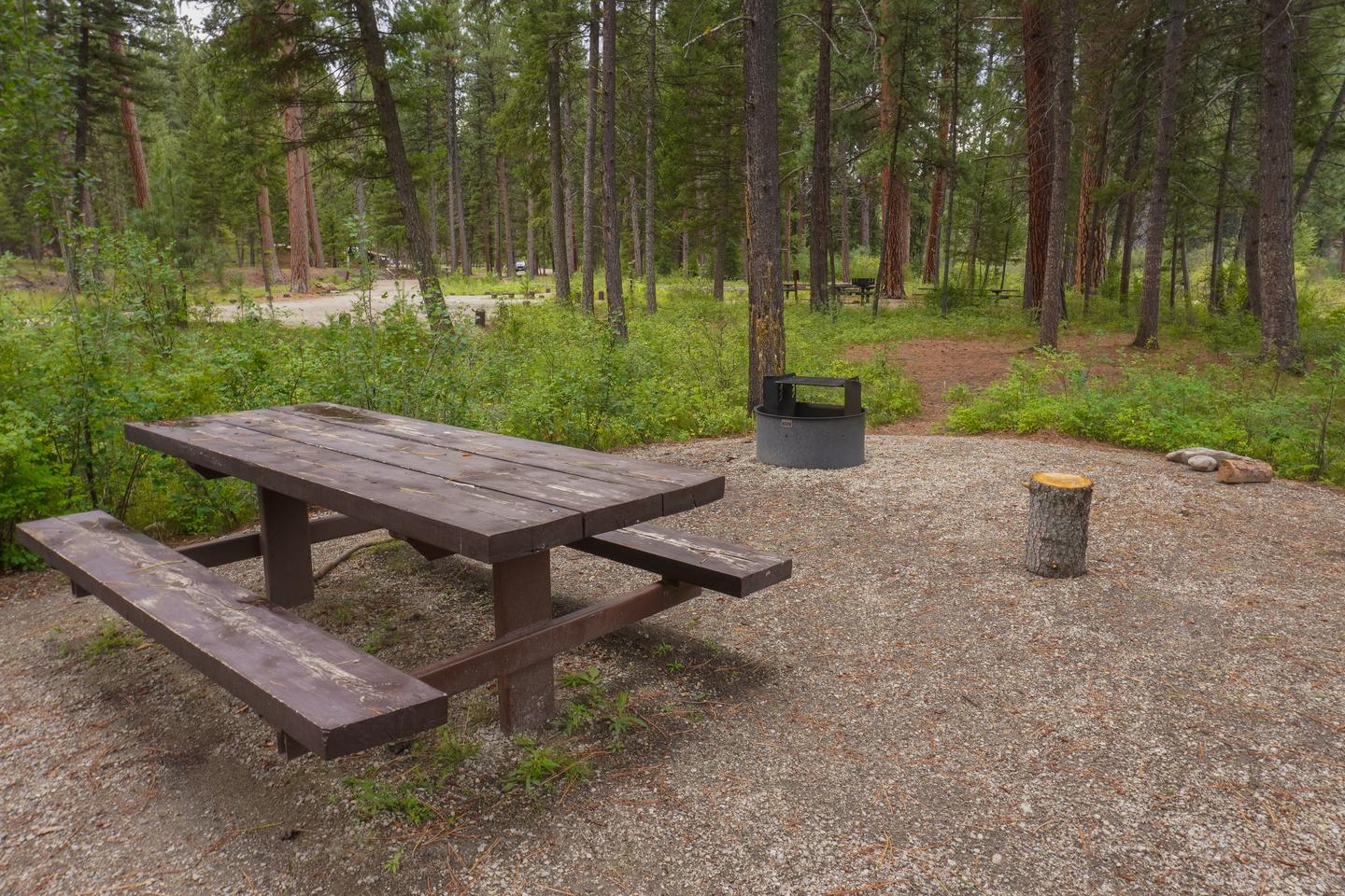 site 5 table