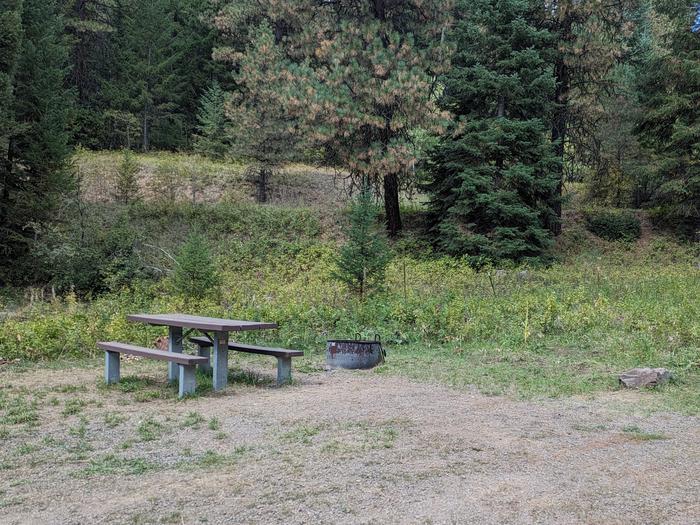 Huckleberry site 7 with picnic table and fire ring.Huckleberry campsite #7