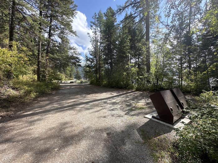 A photo of Site 039 of Loop TALLY at TALLY LAKE CAMPGROUND with No Amenities Shown
