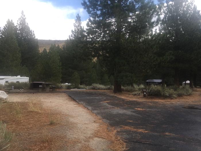 A photo of Site 003 of Loop PAHA  at PAHA with Picnic Table, Fire Pit, Food Storage, Tent Pad