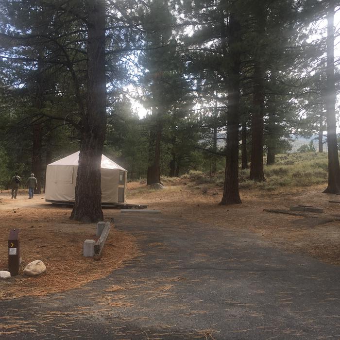 A photo of Site 007 of Loop PAHA  at PAHA with Picnic Table, Fire Pit, Shade, Food Storage, Tent Pad, Lean To / Shelter