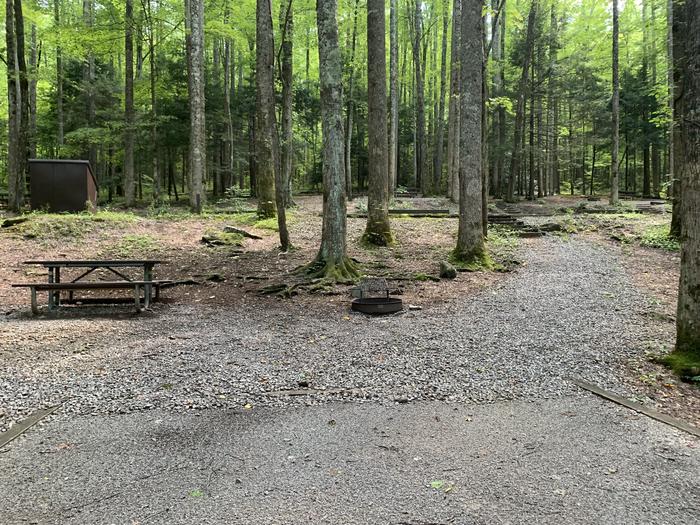 A photo of Site B68 of Loop B-Loop at COSBY CAMPGROUND with Picnic Table, Fire Pit, Tent Pad