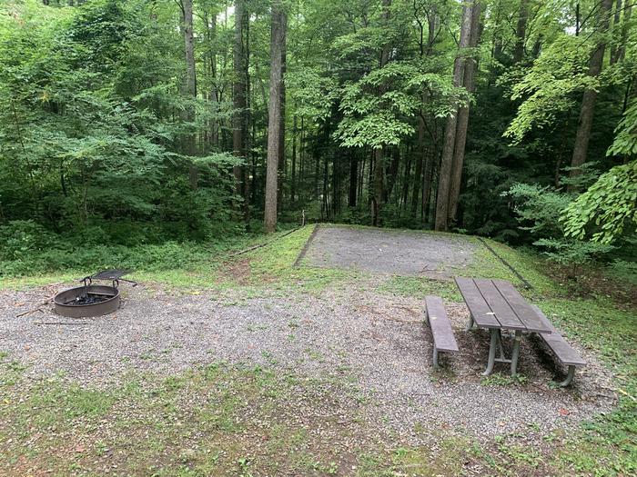 A photo of Site A25 of Loop A-Loop at COSBY CAMPGROUND with Picnic Table, Fire Pit, Tent Pad