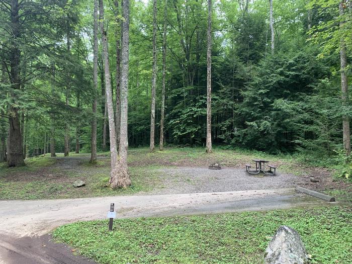 A photo of Site A28 of Loop A-Loop at COSBY CAMPGROUND with Picnic Table, Fire Pit