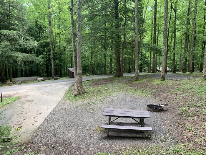 A photo of Site A28 of Loop A-Loop at COSBY CAMPGROUND with Picnic Table, Fire Pit, Tent Pad