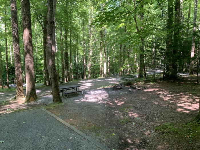 A photo of Site B61 of Loop B-Loop at COSBY CAMPGROUND with Picnic Table, Fire Pit, Tent Pad