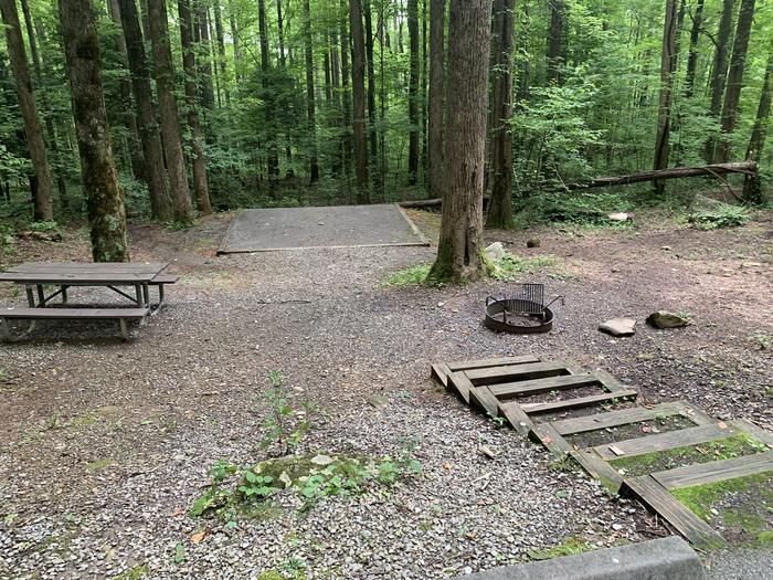 A photo of Site B42 of Loop B-Loop at COSBY CAMPGROUND with Picnic Table, Fire Pit, Tent Pad