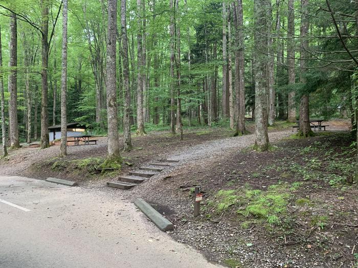 A photo of Site B27 of Loop B-Loop at COSBY CAMPGROUND with Picnic Table, Fire Pit, Tent Pad