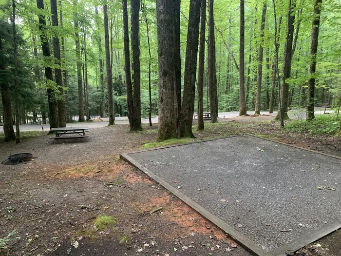 A photo of Site B27 of Loop B-Loop at COSBY CAMPGROUND with Picnic Table, Fire Pit, Tent Pad