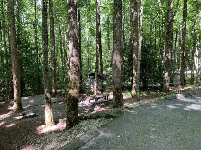 A photo of Site B72 of Loop B-Loop at COSBY CAMPGROUND with Picnic Table, Fire Pit, Tent Pad