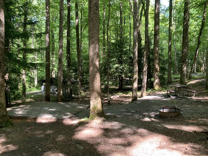 A photo of Site B72 of Loop B-Loop at COSBY CAMPGROUND with Picnic Table, Fire Pit, Tent Pad